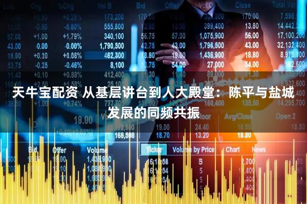 天牛宝配资 从基层讲台到人大殿堂：陈平与盐城发展的同频共振