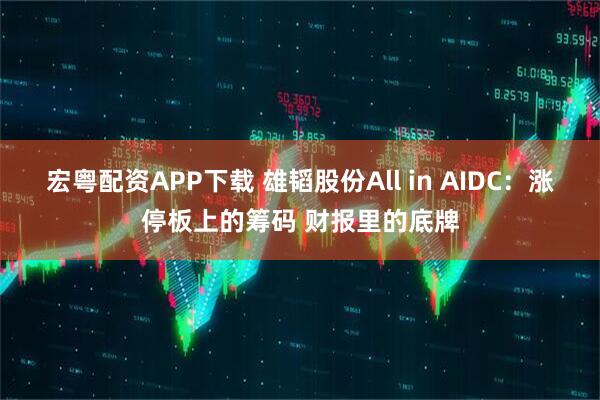 宏粤配资APP下载 雄韬股份All in AIDC：涨停板上的筹码 财报里的底牌